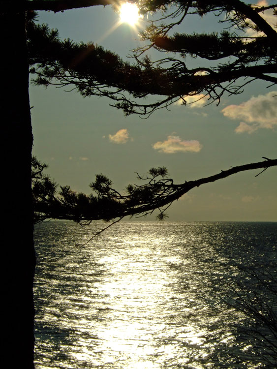 ������ �������� �����