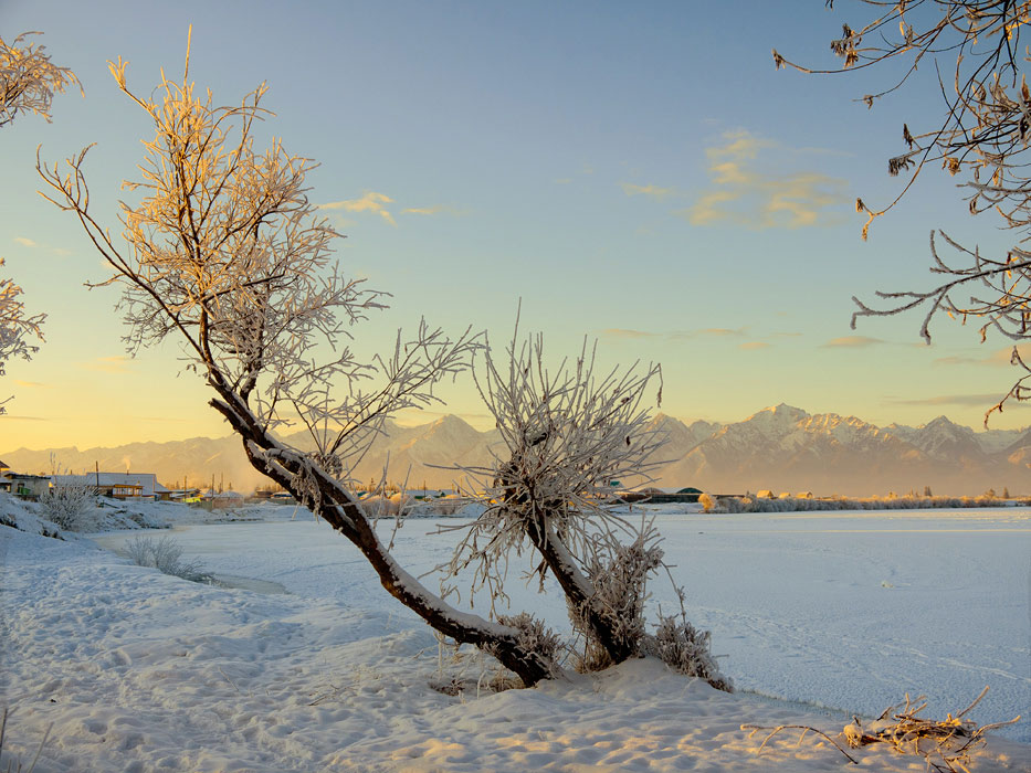 ����� ������