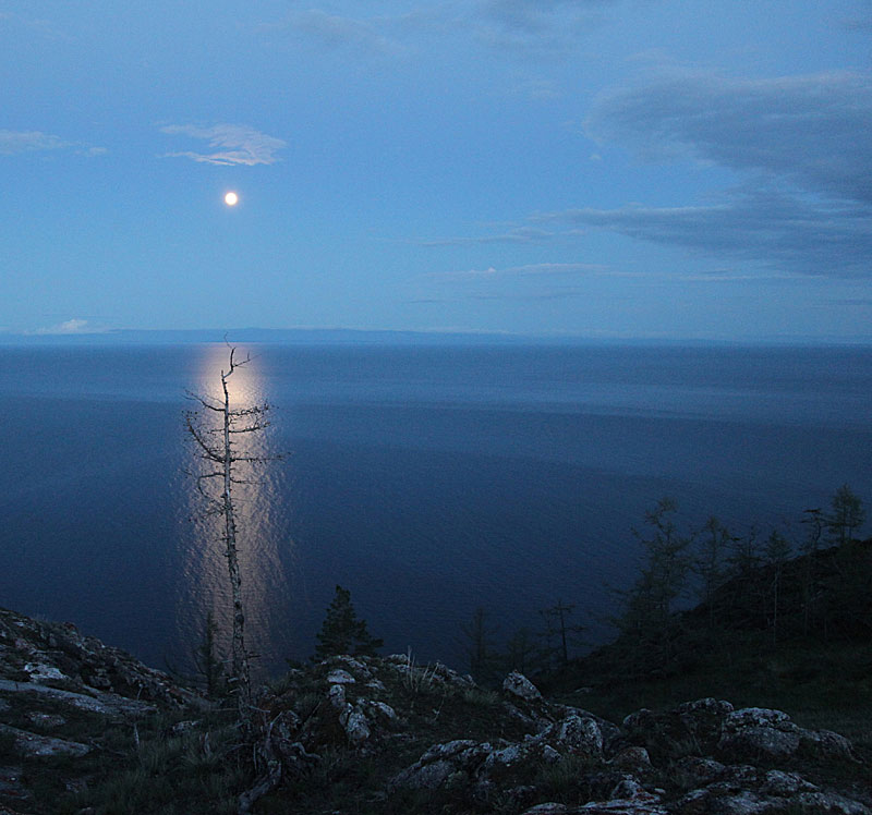 ������ ������� ������...