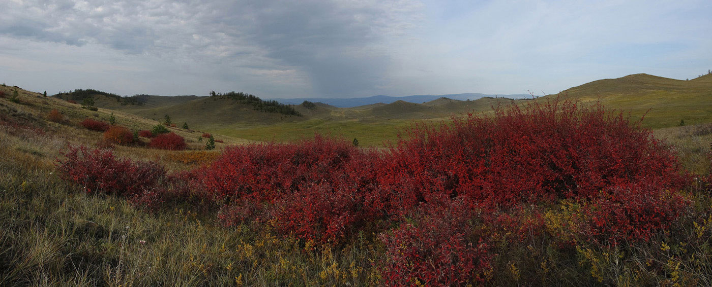 ������� �� ���������� �������...