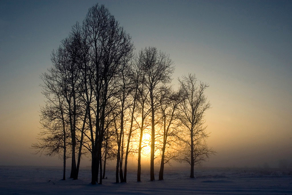 ���� ������