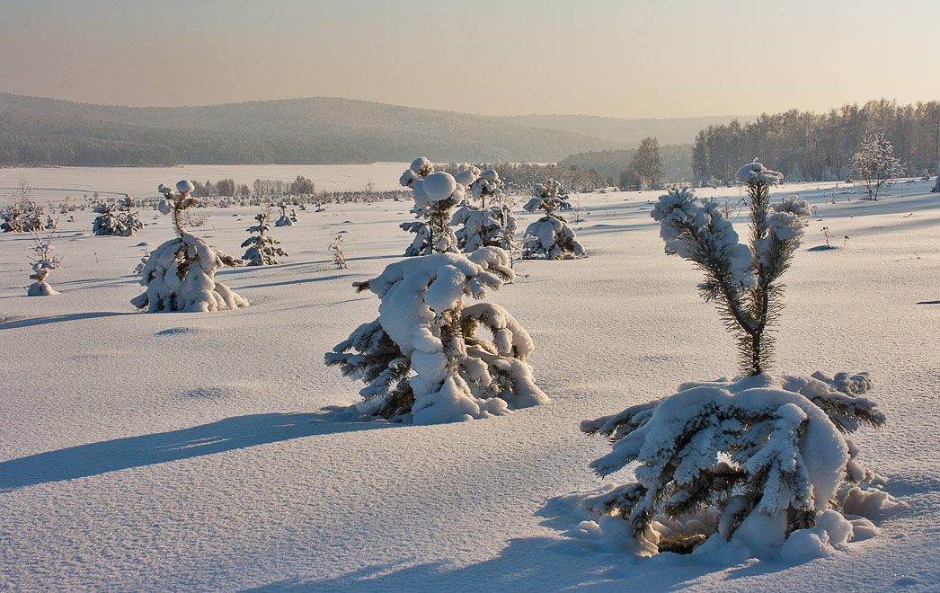 ������� ���������