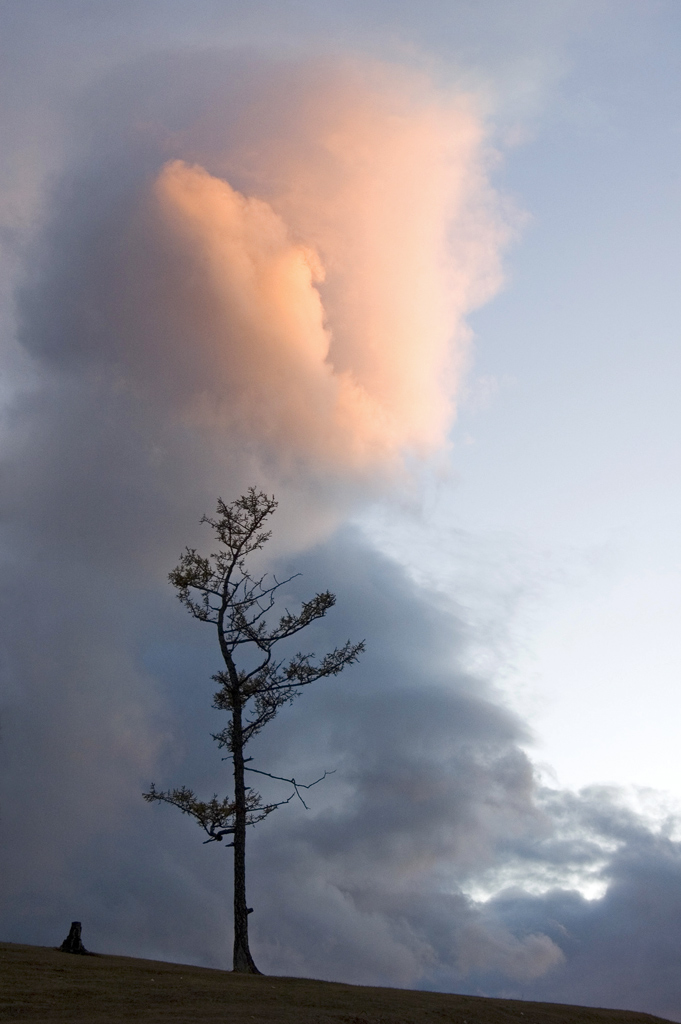 �������� ��������