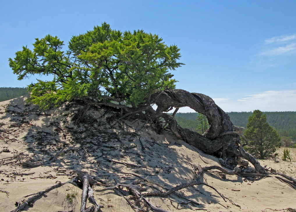 ��... ������.