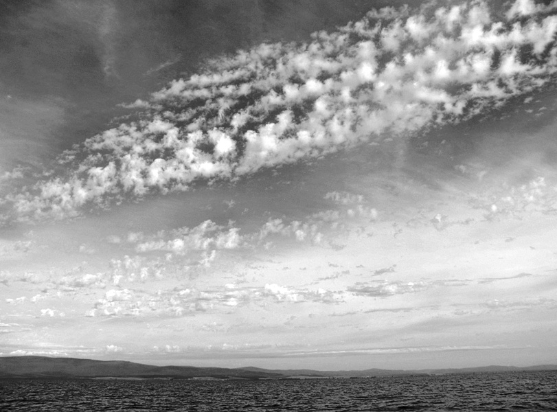 ������� ���� ����� ������