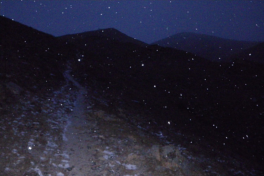 ���� �����