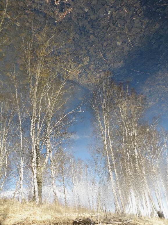 ����� ��� 2010 ��� ��������� ���� � �. ���