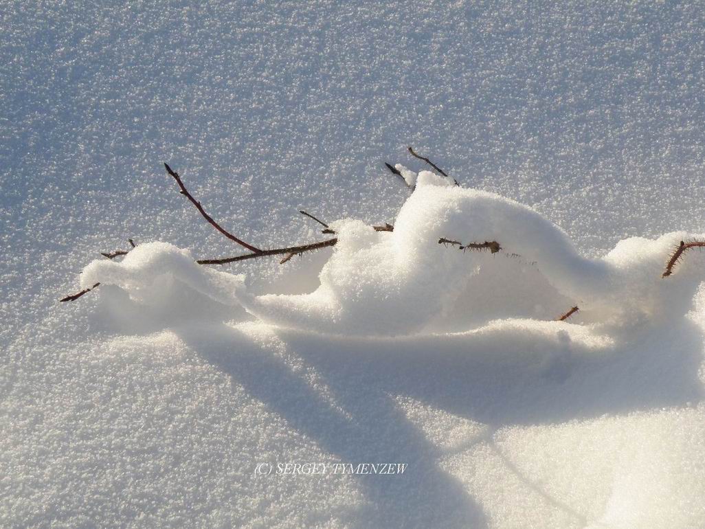 ���� 2012 �� ���� ���