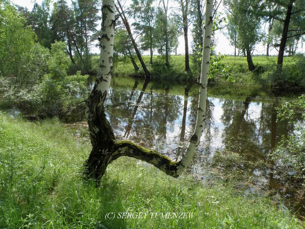 ����� 2011, ������� ���� ���