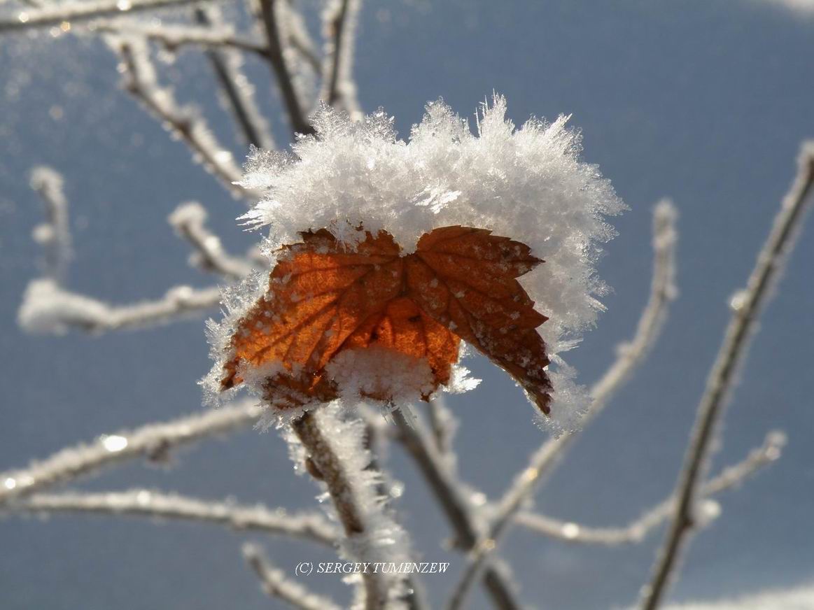 ���� ��������� �����