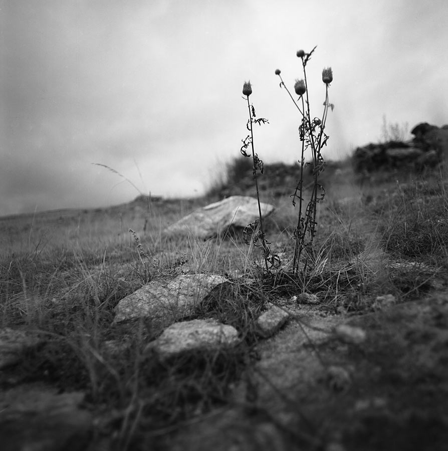 ����� ��� ����� �������