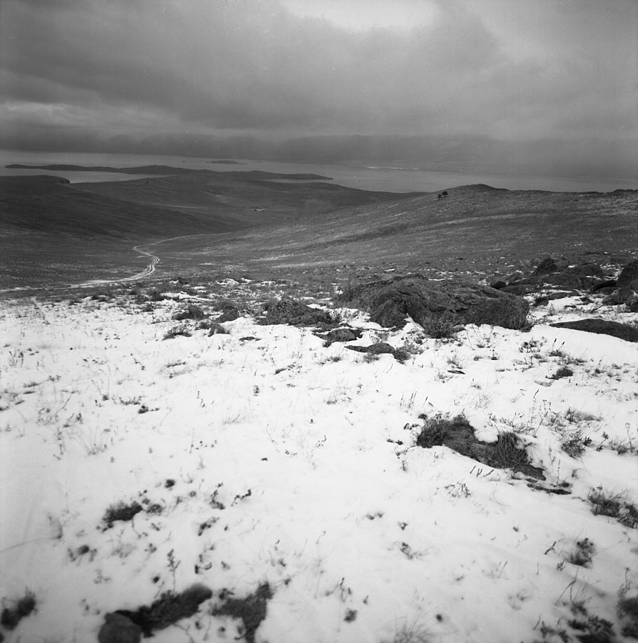 ������ ����