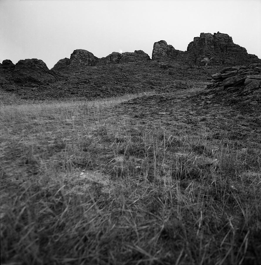 � ���� �����