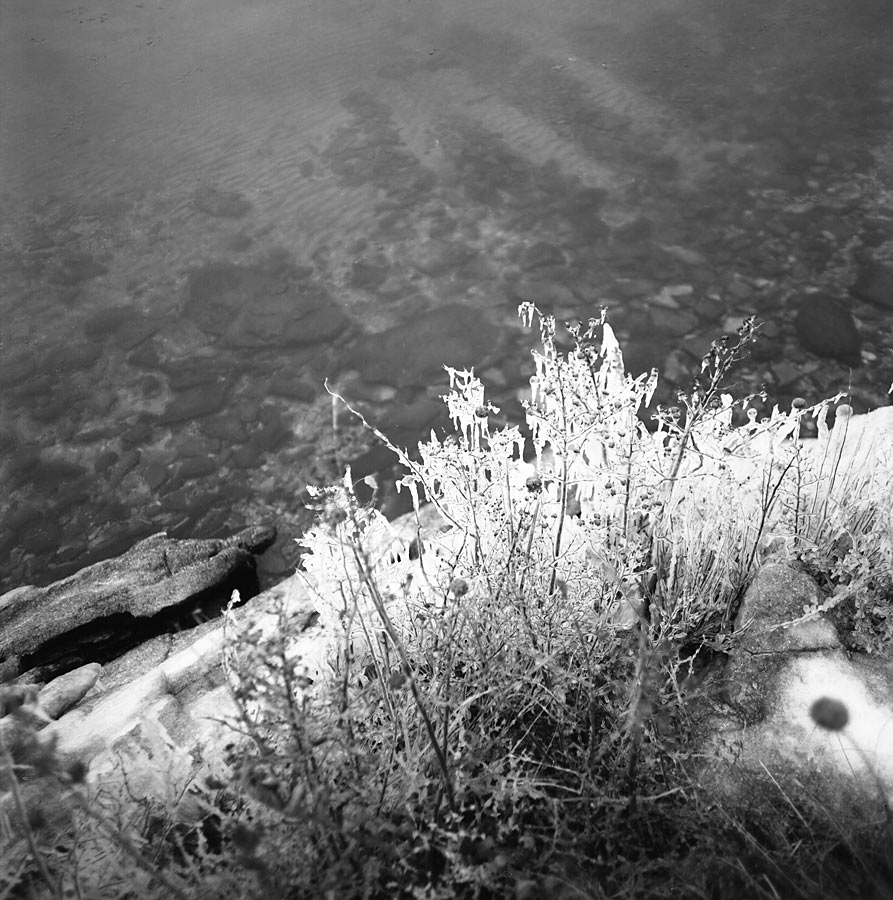 ������� ������� �/�