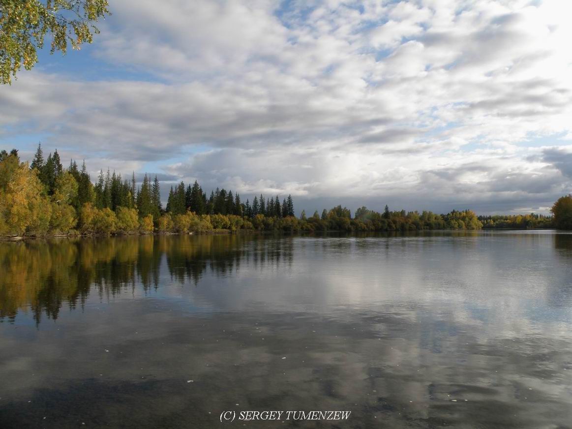 ���� ���, �����...