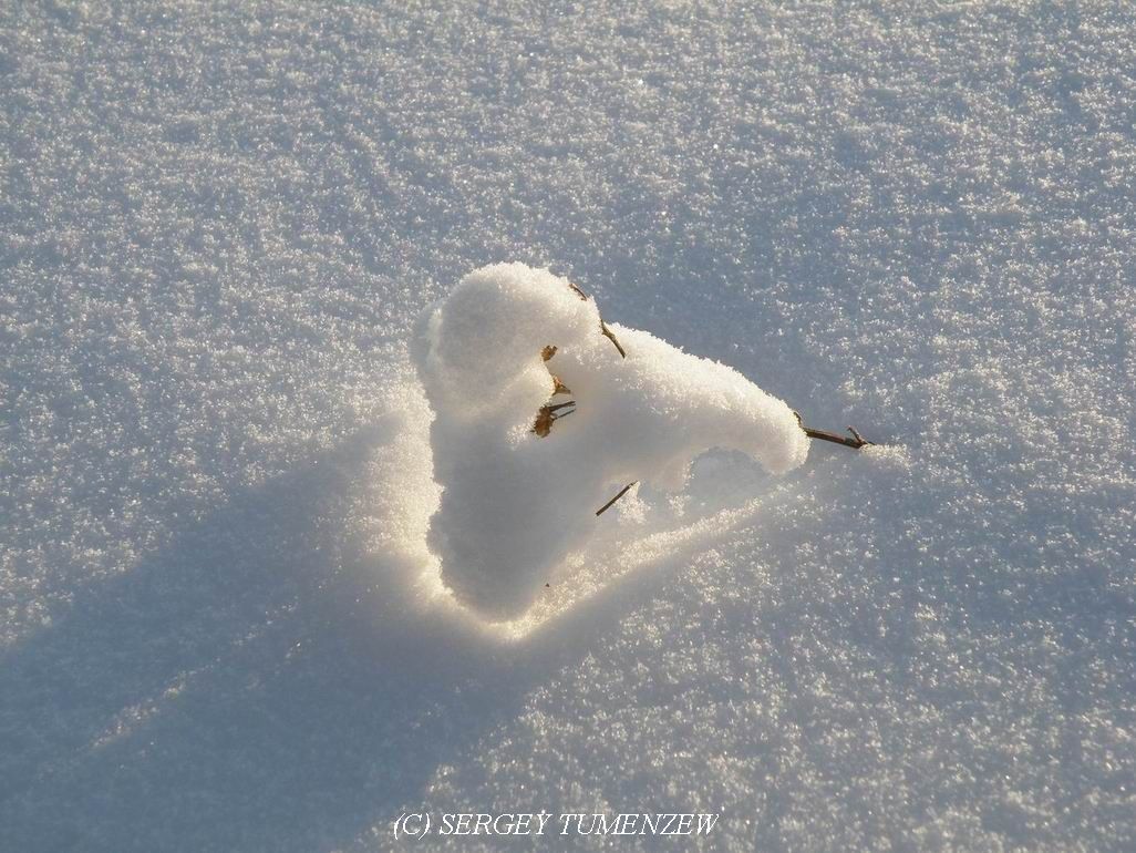 ������ � ����...