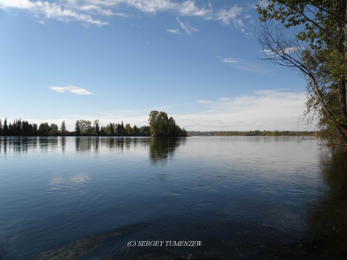 ���� ���