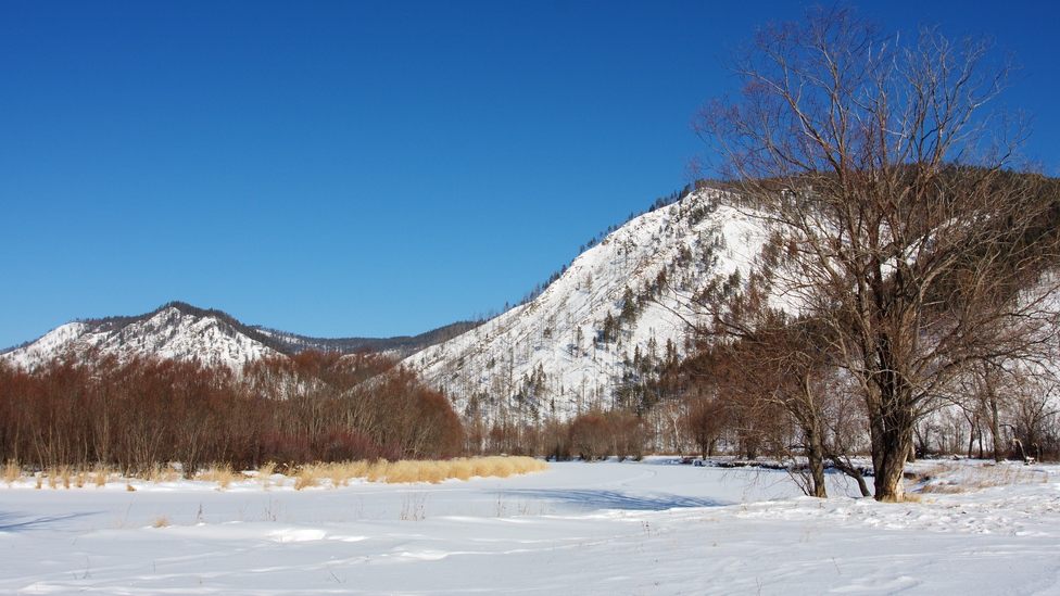 �������� ���������� 1