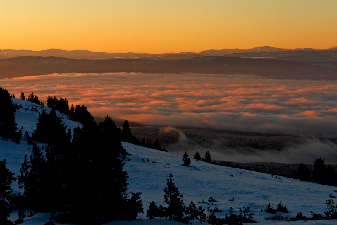 ����� �� ��������.