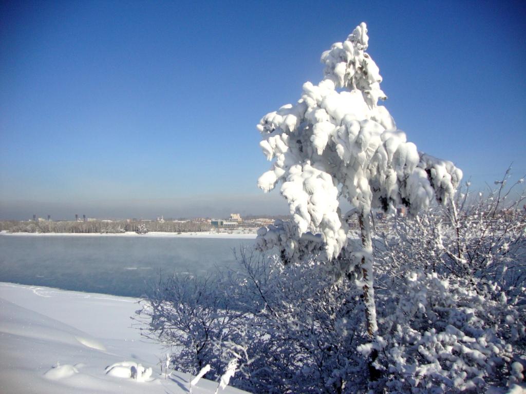 �� �� ������ �����...