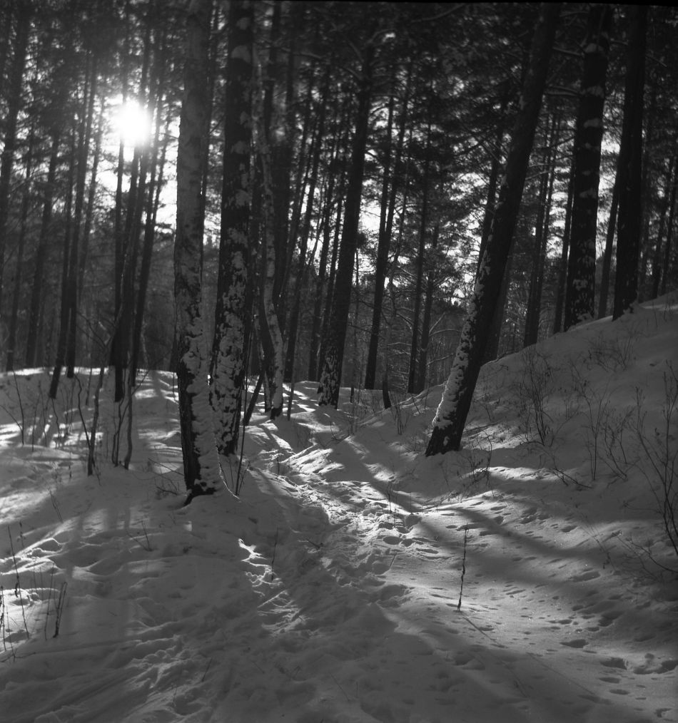 ������ ���