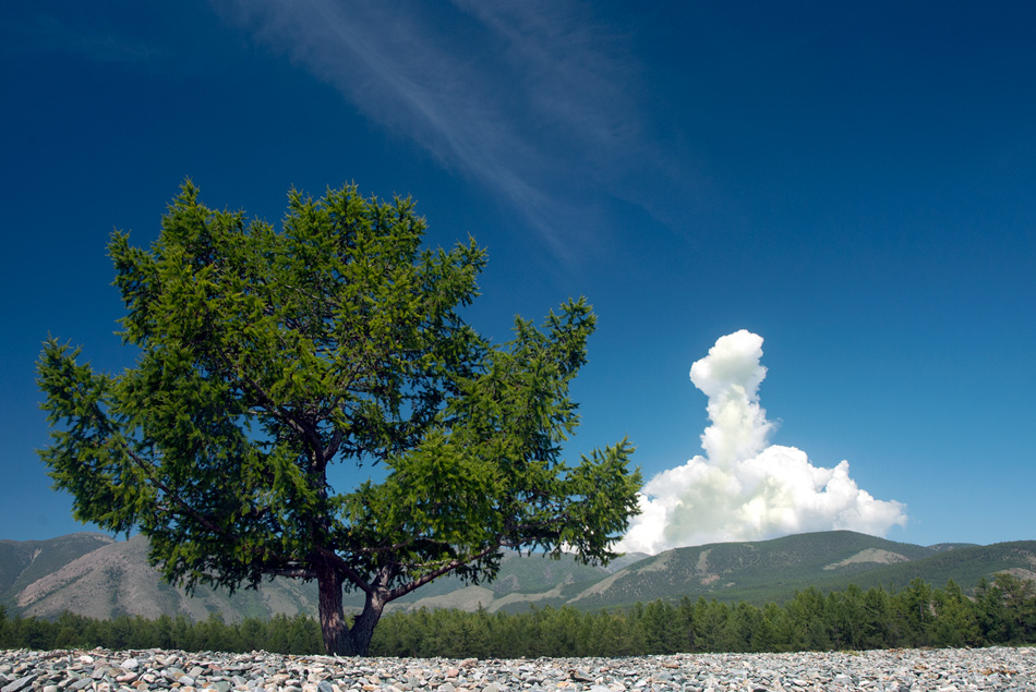 ����� �����