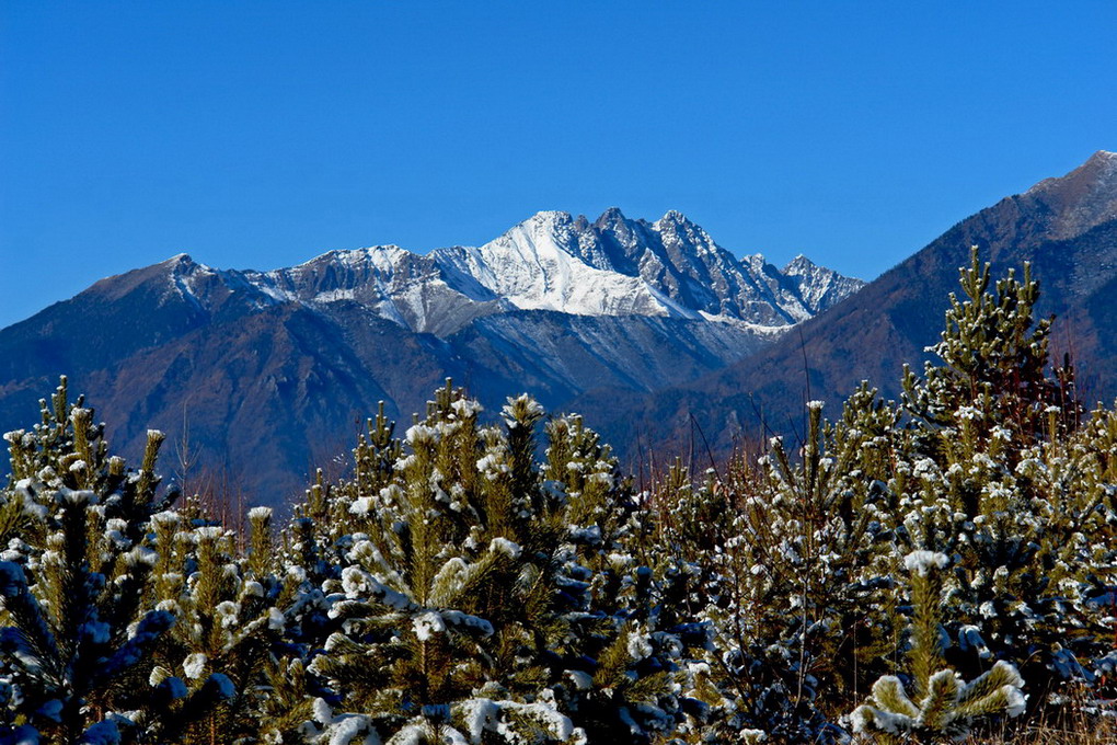 ����������