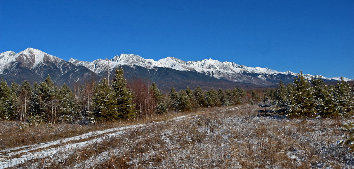 �������� ����