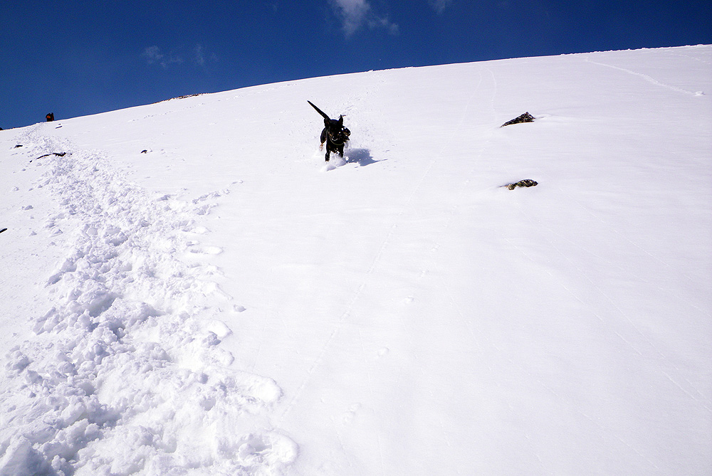 �� ���� �����