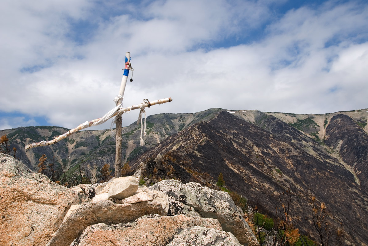 ������ ���������