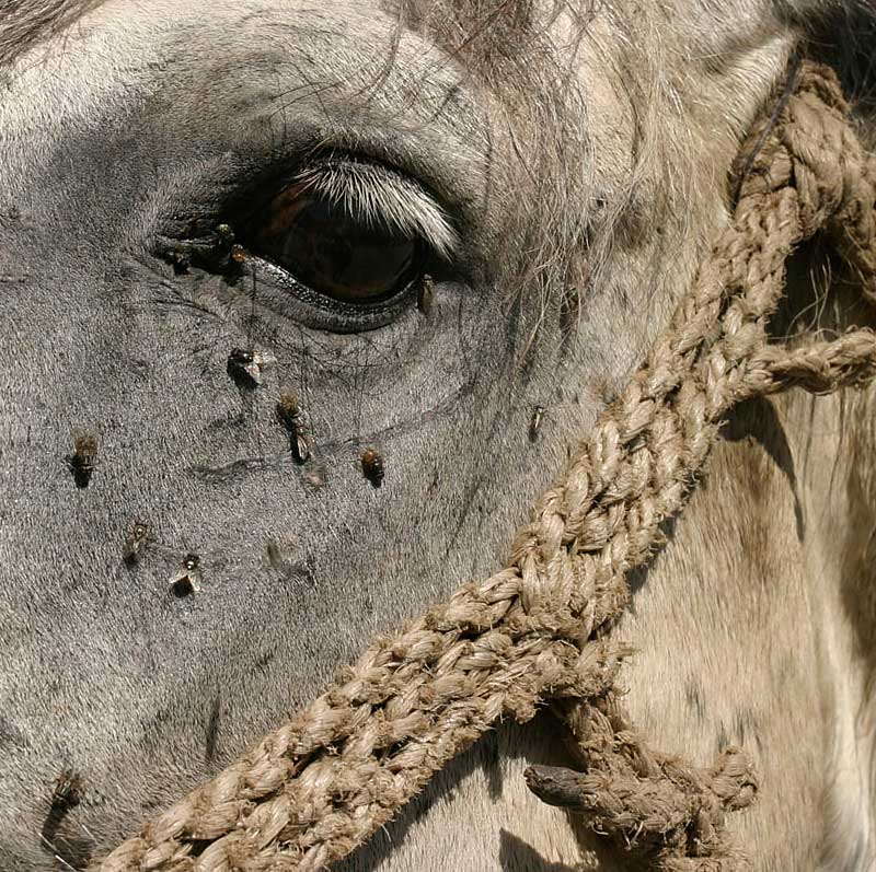 ���� ����