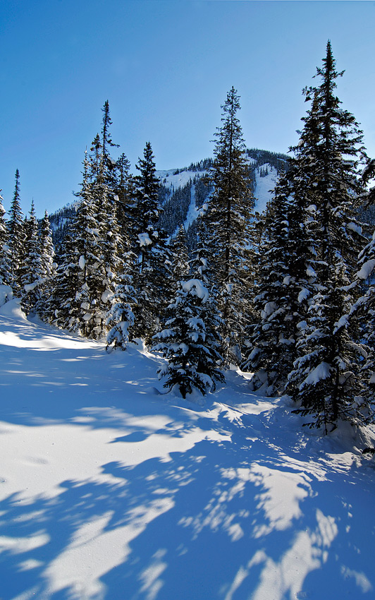 ����� � ������...