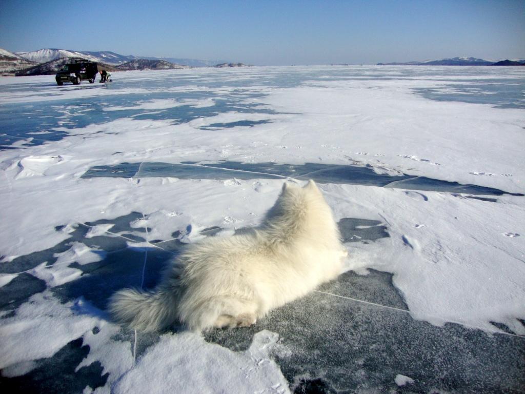 ���� ������ ��������� ����� 1