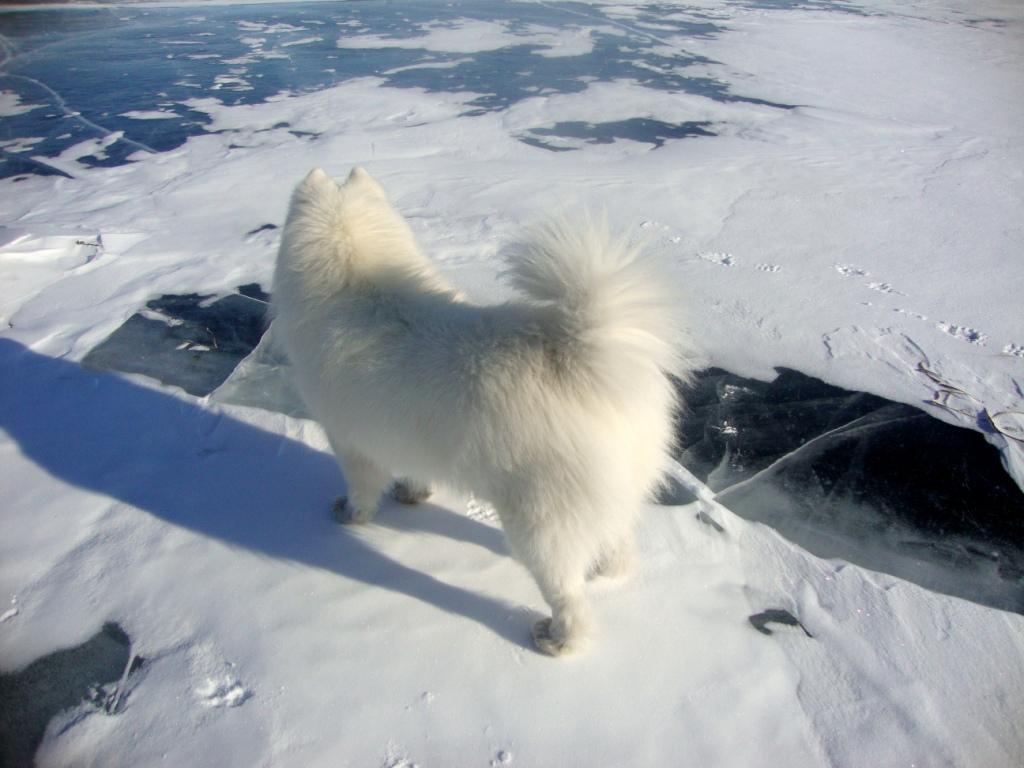 ���� ������ ��������� ����� 2