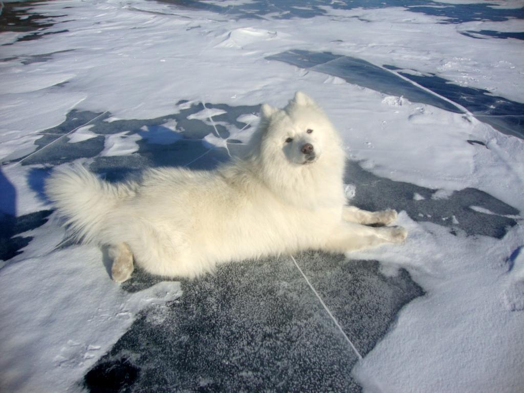 ���� ������ ��������� �����. 3