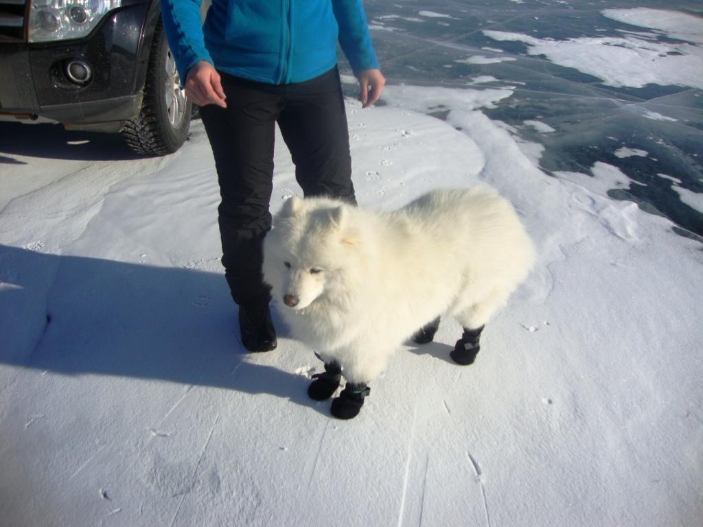 ���� ������ ��������� ����� 4