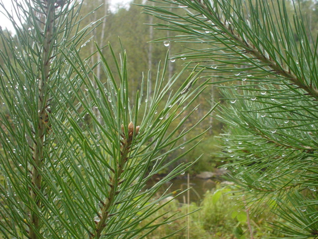 �������������