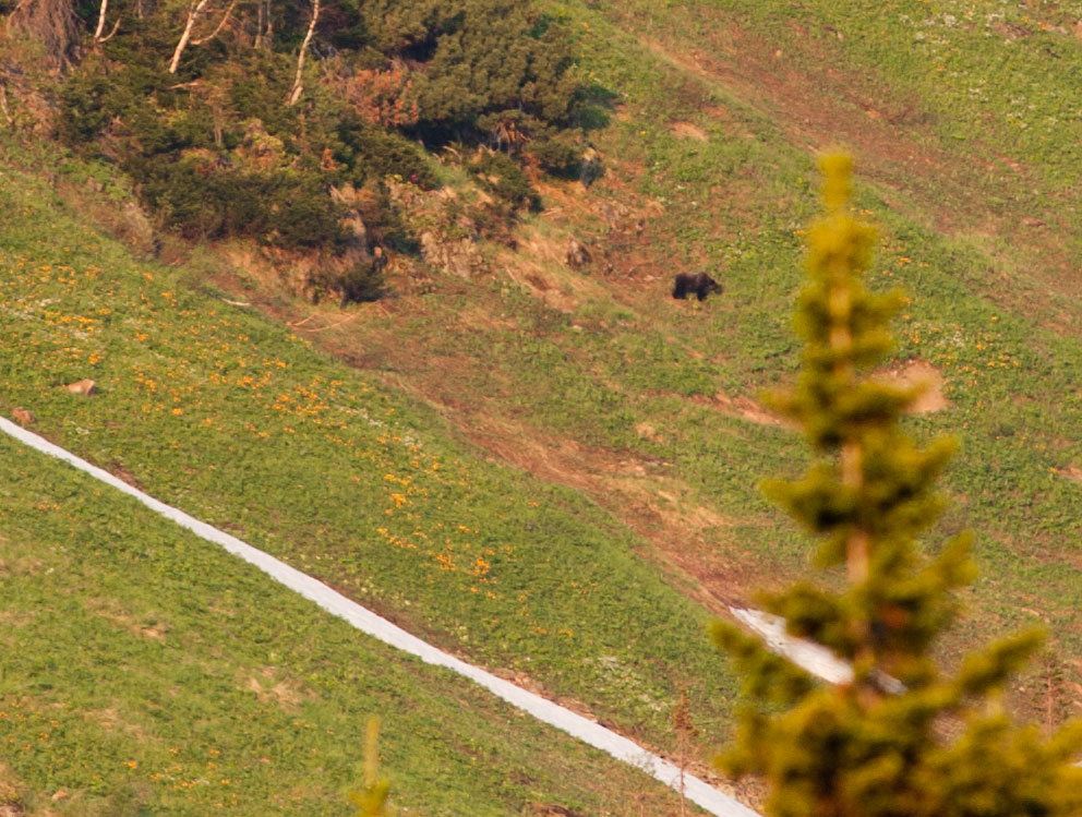 ������� ������� �������� �� ����� �������