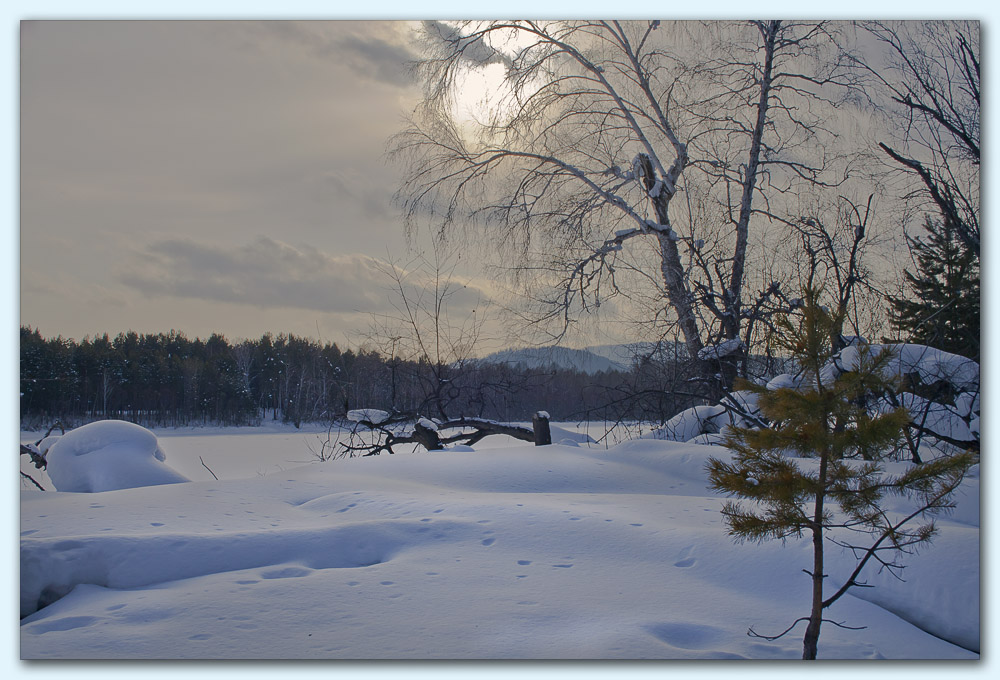 �������� � ����� ����������