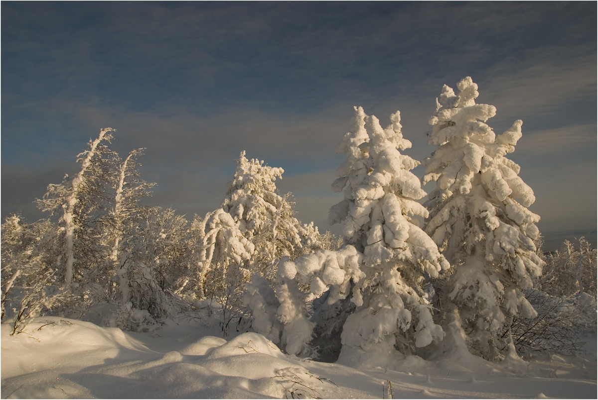 ������� �������