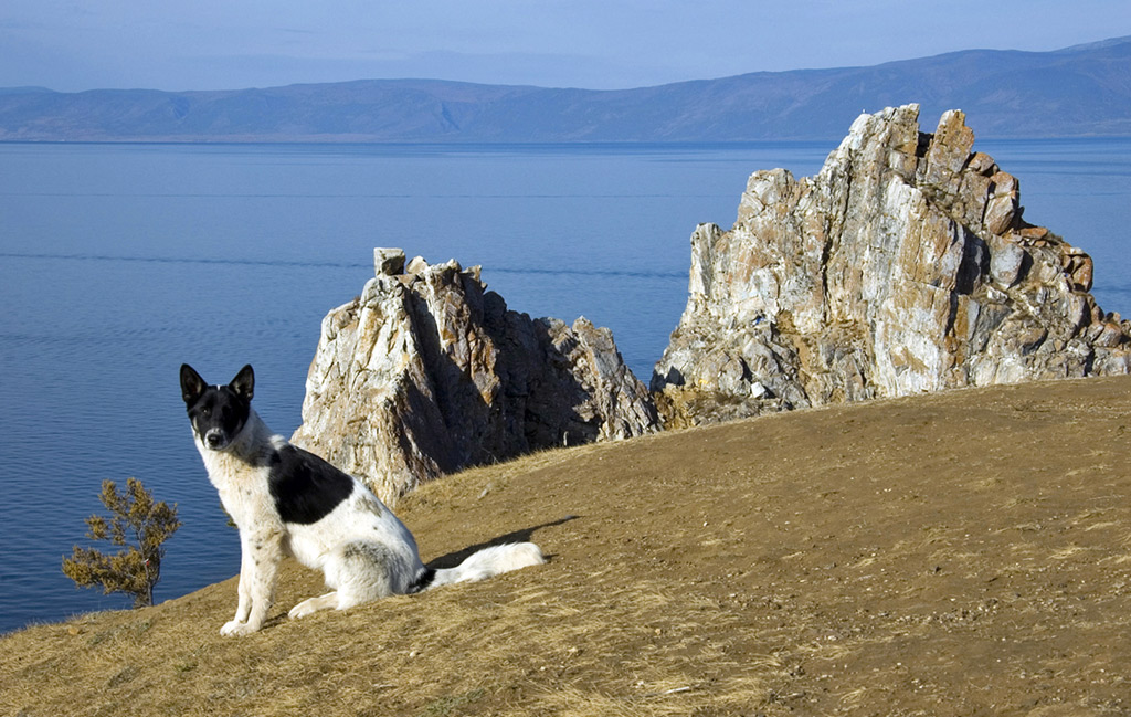 �������