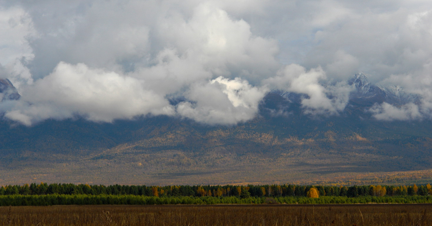 �������� ���������� ������.