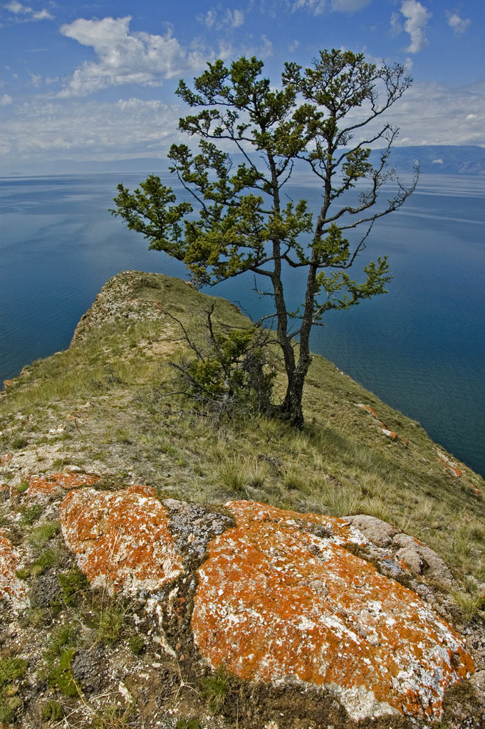 ��� � ������� �� ����� ����