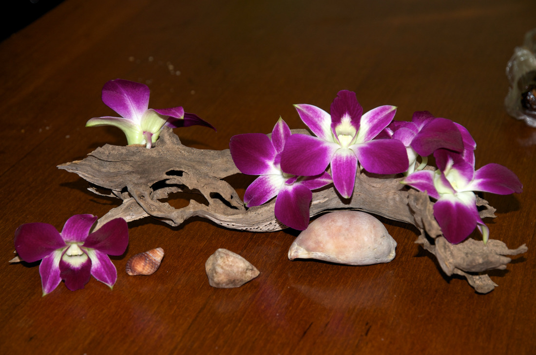 ���� �������� � 8 �����