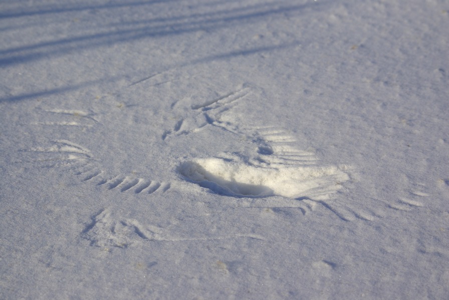 "���-�� ����-�� ������!..."