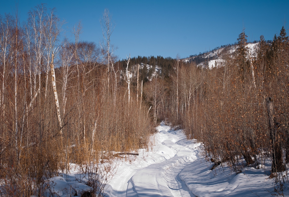 ��� ����...