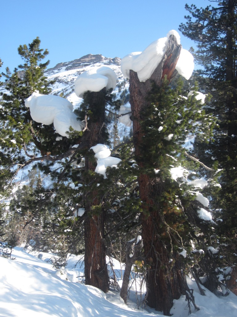 ���� � ����