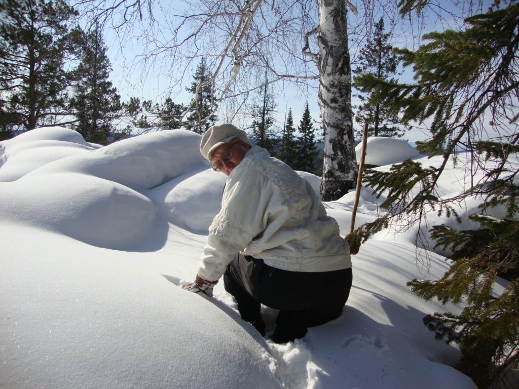 ����� ���� ������ 2