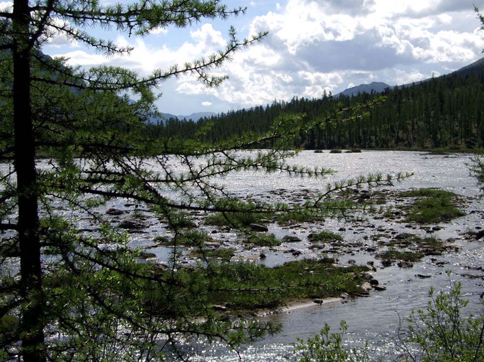 �.��� � ����� �������� ���. ������� �.������