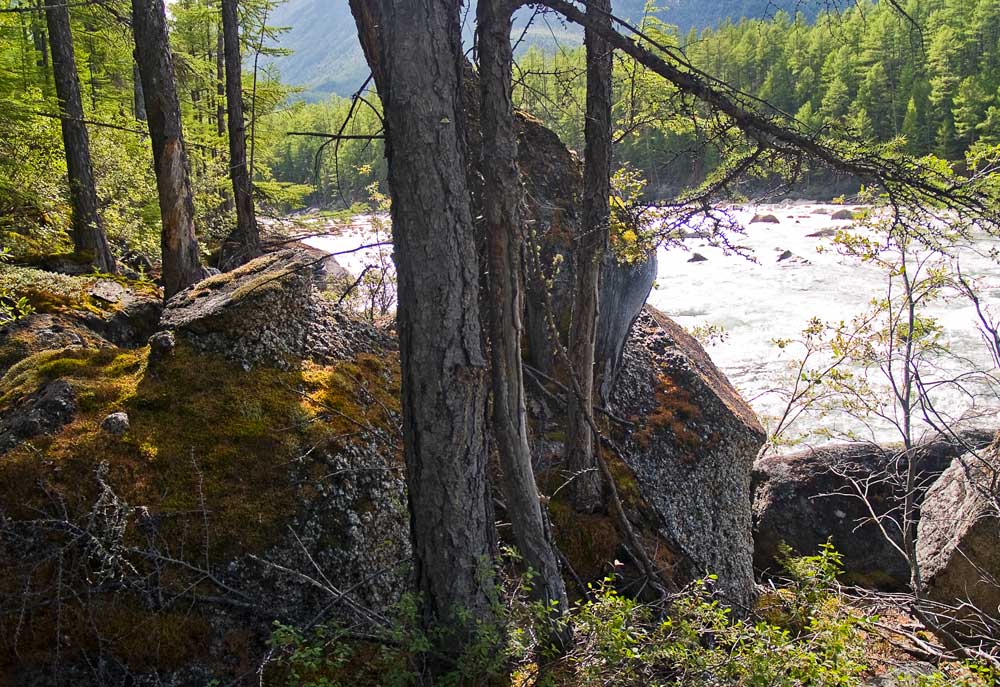 "�������� ������"